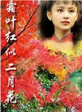霜叶红似二月花 第15集