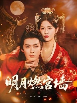 明月燃宫墙(全集)